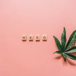 Сорт конопли Auto Jack 47 XL feminised от Sweet Seeds image_191.jpg