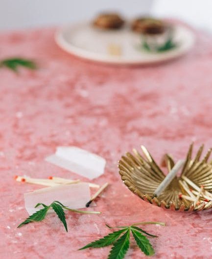 Корм для попугаев с семенами конопли польза и особенности