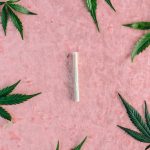 Выращивание семян конопли дома image_220.jpg