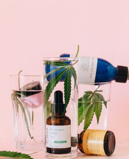 Культивирование конопли с использованием фирменных семян