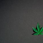 Правовой статус семян марихуаны в России image_239.jpg