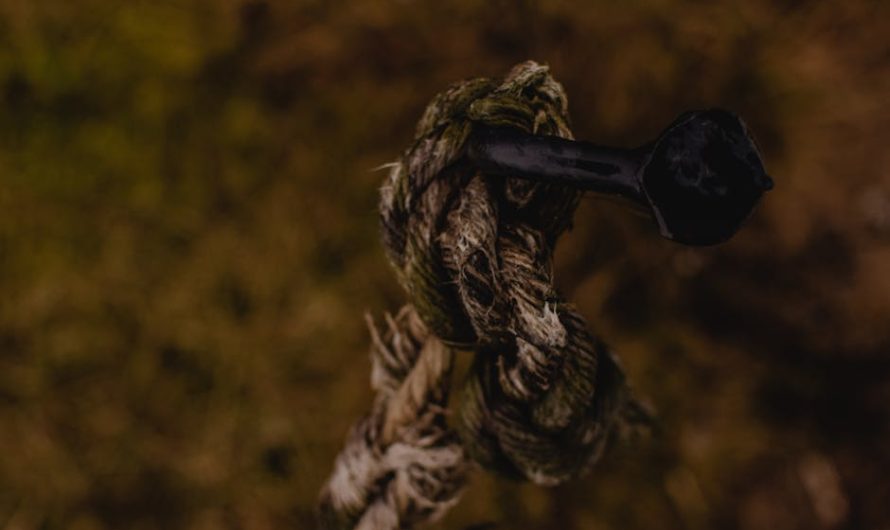 Семена конопли Big Devil F1 Fast Version feminised от Sweet Seeds