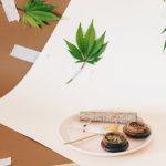 Семена конопли Auto Silver feminised от Breeders Community Seeds image_277.jpg