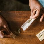 Семена марихуаны в Санкт-Петербурге: особенности приобретения и выращивания image_291.jpg