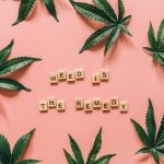 Сорт конопли Auto Amnesia feminised от Ganja Seeds image_295.jpg