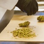 Цены на семена марихуаны и факторы влияющие на их стоимость image_299.jpg