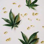 Всхожесть семян конопли и ее влияние на урожайность image_306.jpg