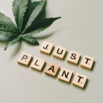 Семена конопли полезные свойства и способы применения в Украине image_316.jpg