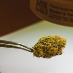 Применение семян конопли в различных отраслях image_324.jpg