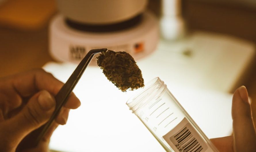 Использование семян конопли для рыбалки