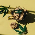 Содержат ли семена конопли ТГК image_33.jpg