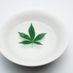 Эффективность семян конопли как прикормки для рыбалки image_369.jpg