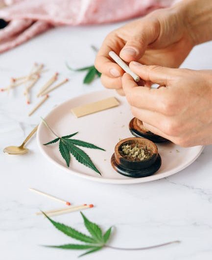 Как и где заказать семена карликовой конопли