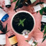 Сорт конопли Cheese feminised от Breeders Community Seeds image_393.jpg