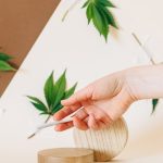 Микс семян конопли полезные свойства и применение image_395.jpg