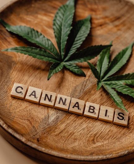 Семена Конопли Черная Вдова Особенности Свойства и Преимущества