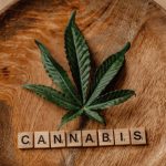 Сайты по продаже семян марихуаны особенности выбора и преимущества покупки онлайн image_416.jpg