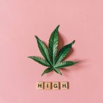 Выращивание конопли из семян в домашних условиях image_418.jpg