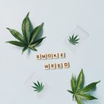 Семена сортовой конопли и их применение image_494.jpg