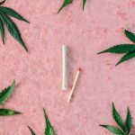 Оптовая закупка семян конопли преимущества и сферы применения image_58.jpg