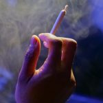 Семена конопли Auto Fruity Jack от Ganja Seeds image_61.jpg