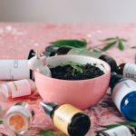 Семена конопли Auto Siberian Haze regular от Ganja Seeds image_81.jpg