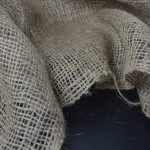 Семена конопли Auto New York City CBD feminised от Pyramid Seeds image_86.jpg