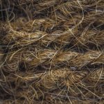 Полезные свойства семян конопли images271.jpg