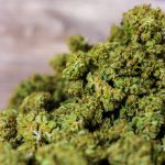 Феминизированные семена конопли: преимущества и особенности покупки images318.jpg