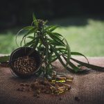 Особенности и преимущества голландских семян конопли и их выращивание images38.jpg