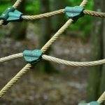 Семена конопли Auto Purple feminised от Ganja Seeds images417.jpg