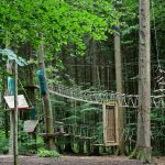 Преимущества и применение семян конопли в питании и здоровье images472.jpg