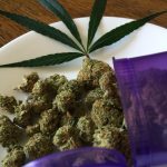 Питательная ценность и преимущества семян конопли для попугаев images475.jpg