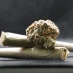 Семена конопли как эффективная прикормка для рыбалки images66.jpg